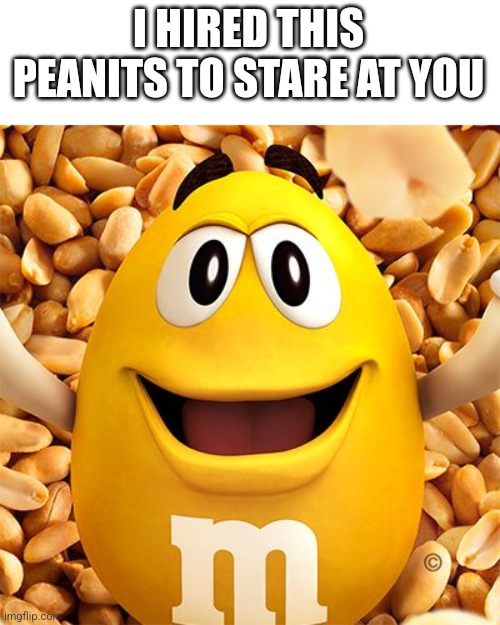 peanut M&M | I HIRED THIS PEANITS TO STARE AT YOU | image tagged in peanut m m | made w/ Imgflip meme maker