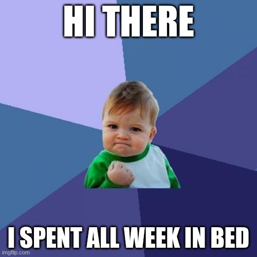 Please don't hate me | HI THERE; I SPENT ALL WEEK IN BED | image tagged in memes,success kid | made w/ Imgflip meme maker