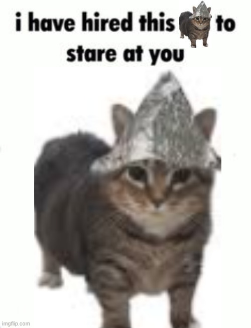 psyop | image tagged in i have hired this to stare at you blank template | made w/ Imgflip meme maker