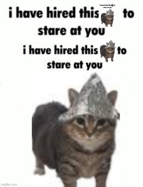 recursion | image tagged in i have hired this to stare at you blank template | made w/ Imgflip meme maker