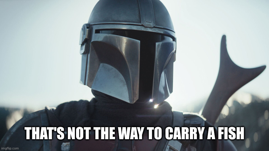 The Mandalorian. | THAT'S NOT THE WAY TO CARRY A FISH | image tagged in the mandalorian | made w/ Imgflip meme maker