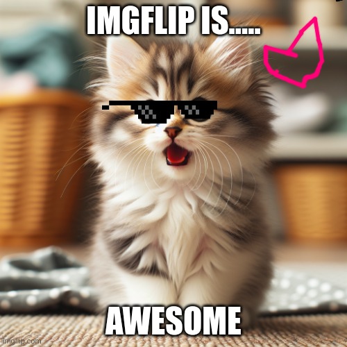 this is truth | IMGFLIP IS..... AWESOME | image tagged in kitten jaw drop | made w/ Imgflip meme maker
