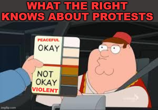 Somewhere, in the Heritage Foundation, there's a list of cities | WHAT THE RIGHT
KNOWS ABOUT PROTESTS; PEACEFUL; VIOLENT | image tagged in racist peter griffin family guy,protests,los angeles | made w/ Imgflip meme maker