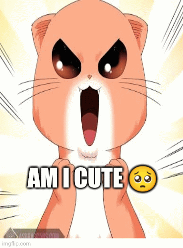 Cute | AM I CUTE 🥺; I AM 😚; I KNOW 🙈; YES | image tagged in gifs,cute | made w/ Imgflip images-to-gif maker