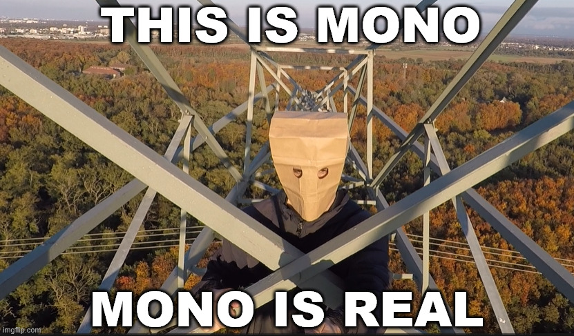 Mono is real | THIS IS MONO; MONO IS REAL | image tagged in lattice climbing,mono,creepypasta,little nightmares,gaming,theories | made w/ Imgflip meme maker