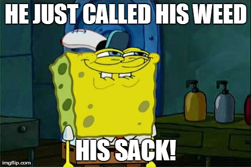 Don't You Squidward Meme | HE JUST CALLED HIS WEED HIS SACK! | image tagged in memes,dont you squidward | made w/ Imgflip meme maker