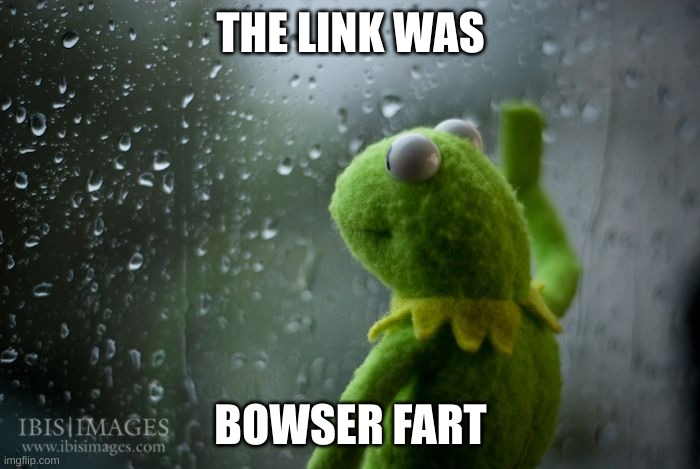 kermit window | THE LINK WAS BOWSER FART | image tagged in kermit window | made w/ Imgflip meme maker