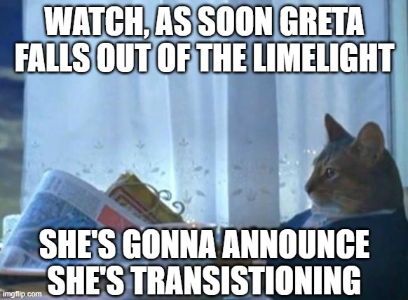 WATCH, AS SOON GRETA FALLS OUT OF THE LIMELIGHT SHE'S GONNA ANNOUNCE SHE'S TRANSISTIONING | image tagged in cat newspaper | made w/ Imgflip meme maker