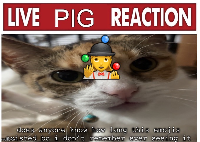 woah | 🤹‍♀️; does anyone know how long this emojis existed bc i don’t remember ever seeing it | image tagged in woah | made w/ Imgflip meme maker
