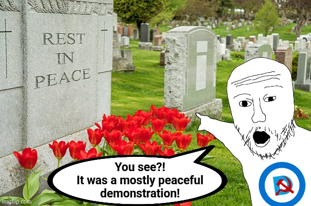 You see?!
It was a mostly peaceful
demonstration! | image tagged in memes,los angeles riots,democrats,trump derangement syndrome,peaceful,gravestone | made w/ Imgflip meme maker