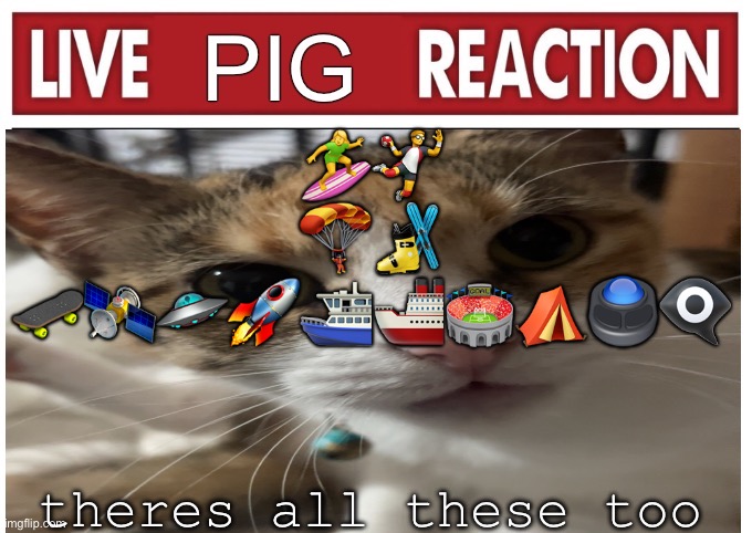 woah | 🏄‍♀️🤾‍♂️
🪂🎿
🛹🛰️🛸🚀⛴️🚢🏟️⛺️🖲️👁️‍🗨️; theres all these too | image tagged in woah | made w/ Imgflip meme maker