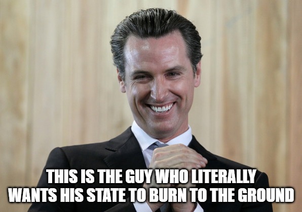 This is the left's hero. | THIS IS THE GUY WHO LITERALLY WANTS HIS STATE TO BURN TO THE GROUND | image tagged in scheming gavin newsom,california,democrats | made w/ Imgflip meme maker