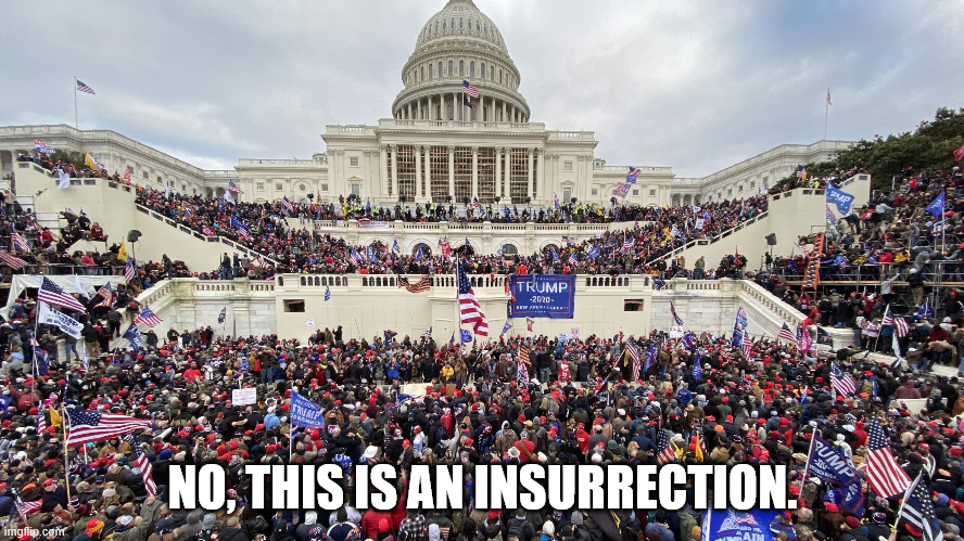 january 6 rioters on capitol steps | NO, THIS IS AN INSURRECTION. | image tagged in january 6 rioters on capitol steps | made w/ Imgflip meme maker