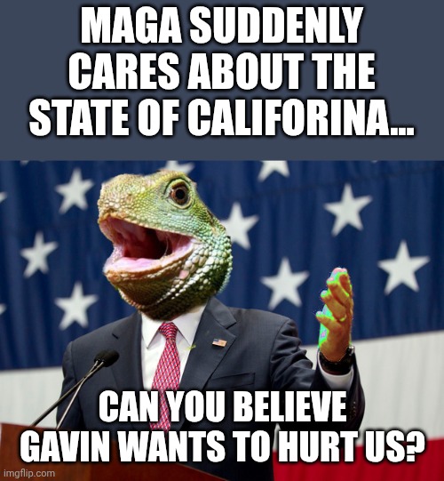 lizardman | MAGA SUDDENLY CARES ABOUT THE STATE OF CALIFORINA... CAN YOU BELIEVE GAVIN WANTS TO HURT US? | image tagged in lizardman | made w/ Imgflip meme maker
