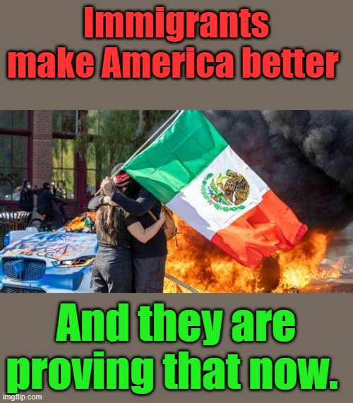 Legal Immigrants need to hit the streets waving US flags & regain American support . Counter these illegal criminals | Immigrants make America better; And they are proving that now. | made w/ Imgflip meme maker