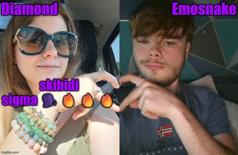 NEW TEMP :DD | skibidi sigma 🗣️🔥🔥🔥 | image tagged in diamond and es shared couple temp | made w/ Imgflip meme maker