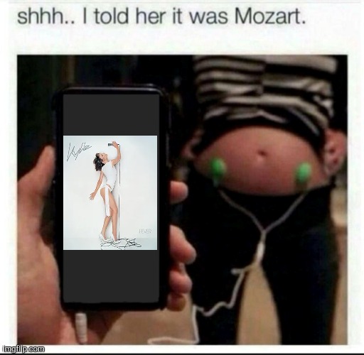 image tagged in i told her it was mozart | made w/ Imgflip meme maker