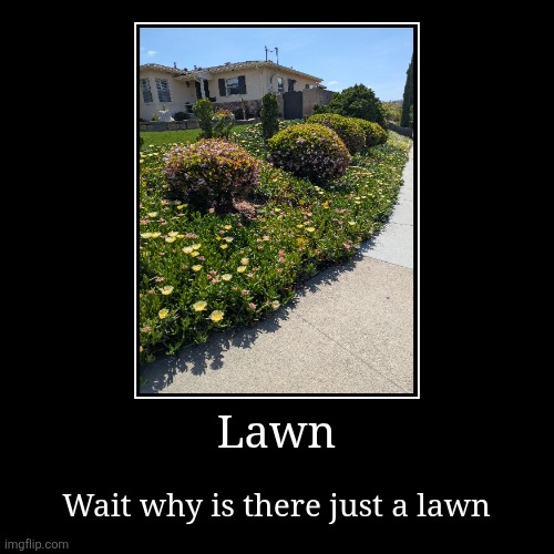 Lawn | Wait why is there just a lawn | image tagged in funny,demotivationals | made w/ Imgflip demotivational maker
