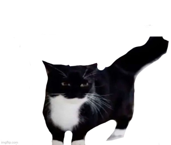 shut fuck your up | image tagged in shut fuck your up | made w/ Imgflip meme maker