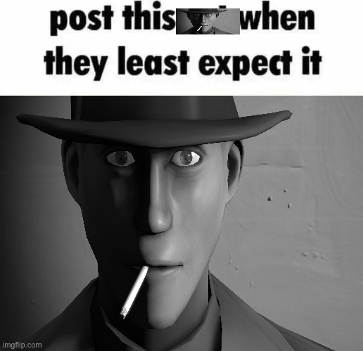 Post this bonkenheimer when they least expect it | image tagged in post this bonkenheimer when they least expect it | made w/ Imgflip meme maker