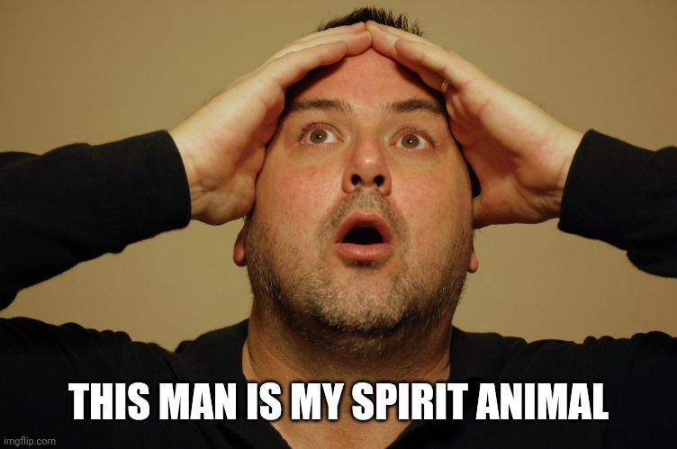 in awe | THIS MAN IS MY SPIRIT ANIMAL | image tagged in in awe | made w/ Imgflip meme maker