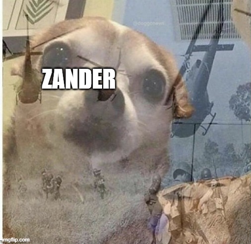 WAR MEMORIES CHIHUAHUA | ZANDER | image tagged in war memories chihuahua | made w/ Imgflip meme maker