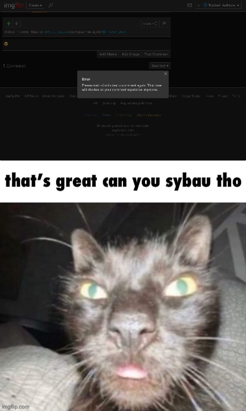 made w/ Imgflip meme maker