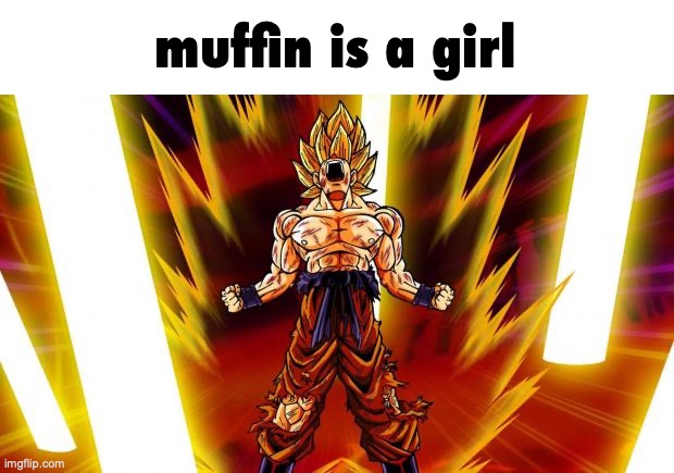 muffin is a girl | image tagged in super saiyan | made w/ Imgflip meme maker