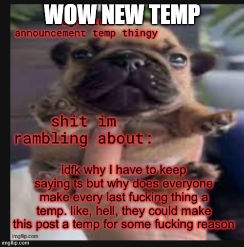 temp #444444440550 | WOW NEW TEMP | image tagged in template godly wow | made w/ Imgflip meme maker