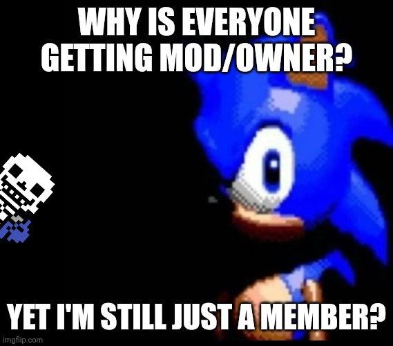 /hj | WHY IS EVERYONE GETTING MOD/OWNER? YET I'M STILL JUST A MEMBER? | image tagged in sonic stares | made w/ Imgflip meme maker