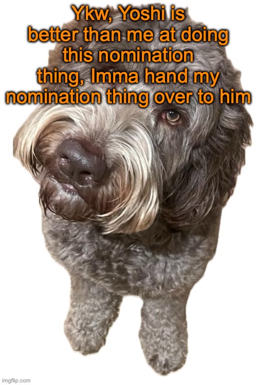 Norther's dog | Ykw, Yoshi is better than me at doing this nomination thing, Imma hand my nomination thing over to him | image tagged in norther's dog | made w/ Imgflip meme maker