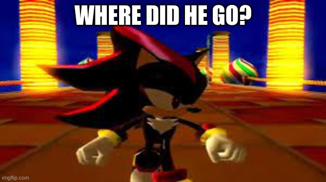 wheres that damn fourth chaos emerald | WHERE DID HE GO? | image tagged in wheres that damn fourth chaos emerald | made w/ Imgflip meme maker