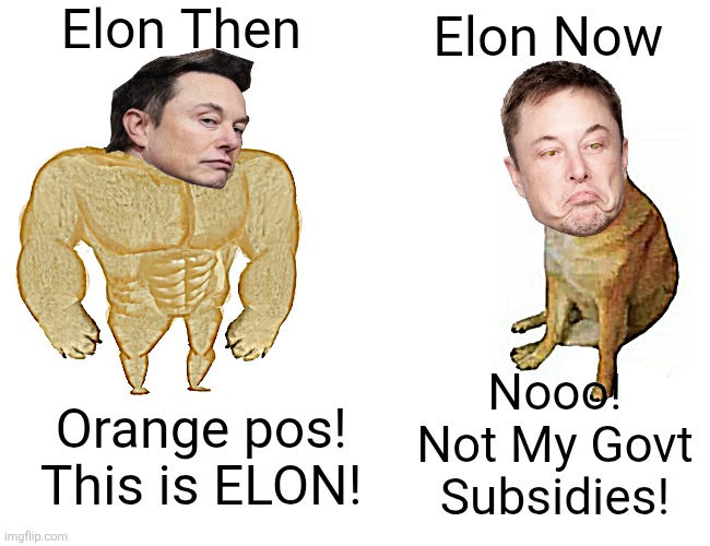 Elon and the 180 dance. | Elon Then; Elon Now; Nooo! Not My Govt Subsidies! Orange pos!  This is ELON! | image tagged in memes,buff doge vs cheems | made w/ Imgflip meme maker