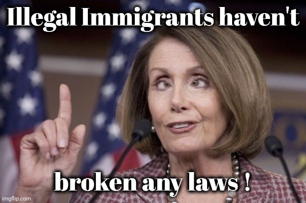 Nancy pelosi | Illegal Immigrants haven't broken any laws ! | image tagged in nancy pelosi | made w/ Imgflip meme maker