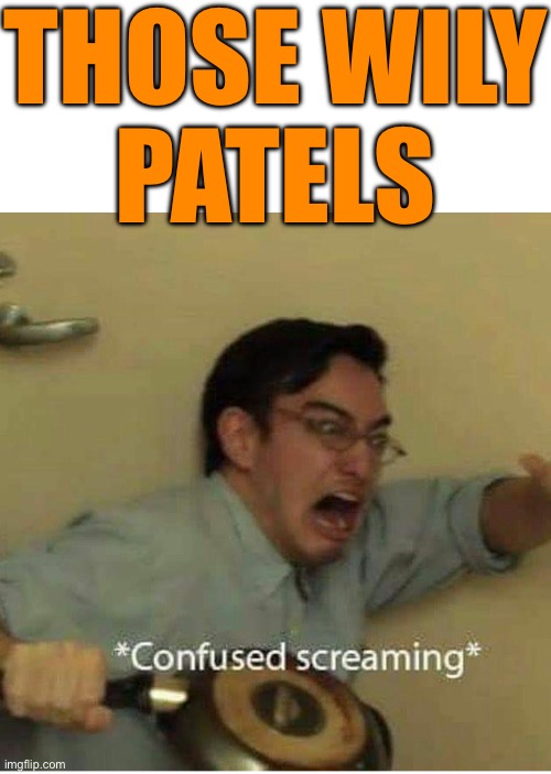 “Those Wily Patels” (Gidwani, Capital Interrupted, 2008, 44) | THOSE WILY
PATELS | image tagged in confused screaming,books,quotes,author,india,politics | made w/ Imgflip meme maker