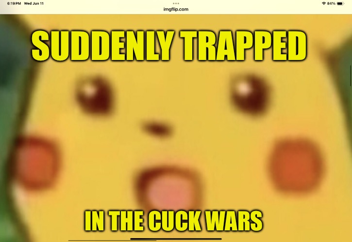 Cuck Wars | SUDDENLY TRAPPED; IN THE CUCK WARS | image tagged in cuck wars,cucks,riots,protesters,political meme,political memes | made w/ Imgflip meme maker
