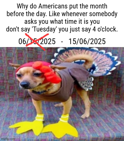 Turkey dog | Why do Americans put the month before the day. Like whenever somebody asks you what time it is you don't say 'Tuesday' you just say 4 o'clock. 06/15/2025   -   15/06/2025 | image tagged in turkey dog | made w/ Imgflip meme maker