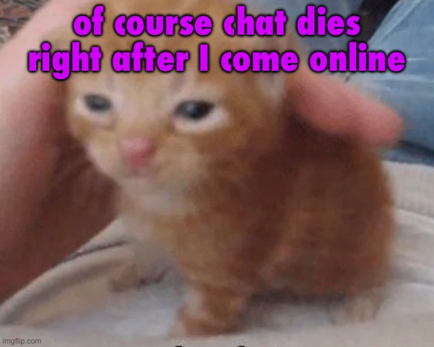 Herbert | of course chat dies right after I come online | image tagged in herbert | made w/ Imgflip meme maker