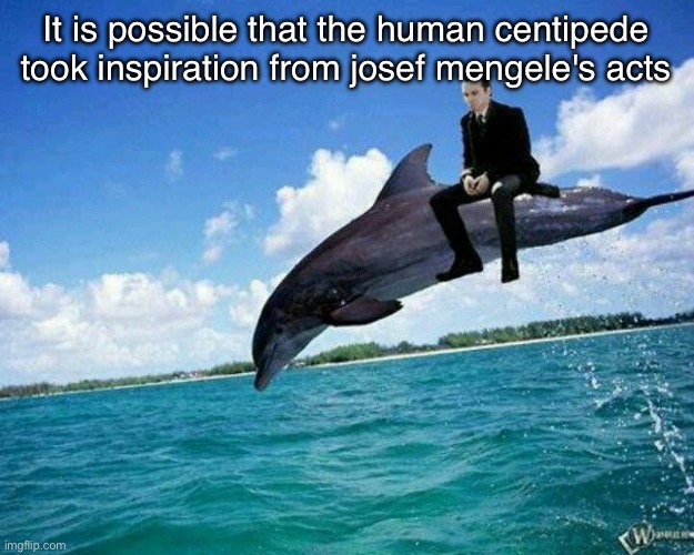 What the hell | It is possible that the human centipede took inspiration from josef mengele's acts | image tagged in what the hell | made w/ Imgflip meme maker