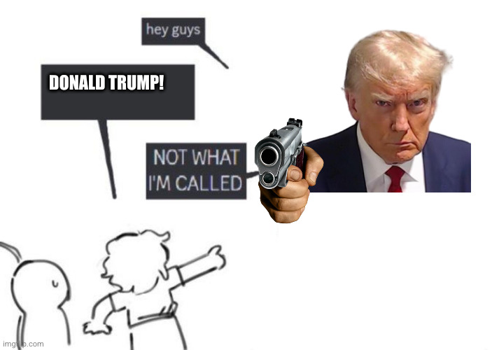 This person is just a blondie hired to play trump (jk) | DONALD TRUMP! | image tagged in hey guys - not what i'm called | made w/ Imgflip meme maker