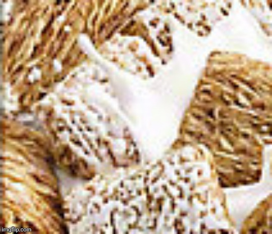 I WOULD RATHER SUCK A TAPEWORM OUTTA SOME1 BOOTYHOLE THAN EAT TS CEREAL. (lowkey laughing rn) | made w/ Imgflip meme maker