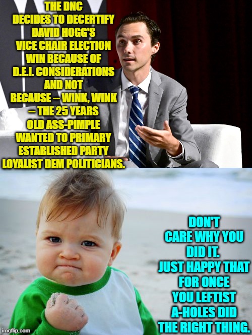 Now Hogg will run for some political office where he can do even more harm to his party. | THE DNC DECIDES TO DECERTIFY DAVID HOGG'S VICE CHAIR ELECTION WIN BECAUSE OF D.E.I. CONSIDERATIONS AND NOT BECAUSE -- WINK, WINK -- THE 25 YEARS OLD ASS-PIMPLE WANTED TO PRIMARY ESTABLISHED PARTY LOYALIST DEM POLITICIANS. DON'T CARE WHY YOU DID IT.  JUST HAPPY THAT FOR ONCE YOU LEFTIST A-HOLES DID THE RIGHT THING. | image tagged in success kid original | made w/ Imgflip meme maker