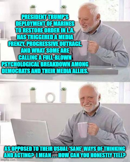 Good question.  Seriously, how do you tell? | PRESIDENT TRUMP'S DEPLOYMENT OF MARINES TO RESTORE ORDER IN L.A. HAS TRIGGERED A MEDIA FRENZY, PROGRESSIVE OUTRAGE, AND WHAT SOME ARE CALLING A FULL-BLOWN PSYCHOLOGICAL BREAKDOWN AMONG DEMOCRATS AND THEIR MEDIA ALLIES. AS OPPOSED TO THEIR USUAL 'SANE' WAYS OF THINKING AND ACTING?  I MEAN . . . HOW CAN YOU HONESTLY TELL? | image tagged in hide the pain harold | made w/ Imgflip meme maker