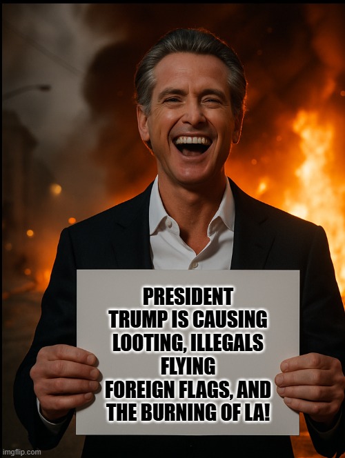 President Trump caused this! | PRESIDENT TRUMP IS CAUSING LOOTING, ILLEGALS FLYING FOREIGN FLAGS, AND THE BURNING OF LA! | image tagged in just because | made w/ Imgflip meme maker