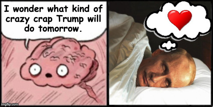 Happy Putin sleeping. | I wonder what kind of
crazy crap Trump will
do tomorrow. | image tagged in happy putin sleeping,memres,trump | made w/ Imgflip meme maker