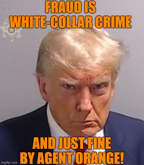 What's the difference between protests and crime? | FRAUD IS WHITE-COLLAR CRIME; AND JUST FINE BY AGENT ORANGE! | image tagged in donald trump mugshot,crime,protests,fraud,felon | made w/ Imgflip meme maker