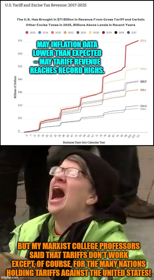 But remember non thinking but all emoting leftists -- tariffs definitely don't work.  Wink! | MAY INFLATION DATA LOWER THAN EXPECTED – MAY TARIFF REVENUE REACHES RECORD HIGHS. BUT MY MARXIST COLLEGE PROFESSORS SAID THAT TARIFFS DON'T WORK EXCEPT, OF COURSE, FOR THE MANY NATIONS HOLDING TARIFFS AGAINST THE UNITED STATES! | image tagged in yep | made w/ Imgflip meme maker