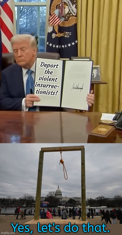 Send them to Epstein's Island. | Deport the violent insurrec- tionists! Yes, let's do that. | image tagged in trump signing,the day of the rope 6 january 2020,traitors,irony meter,hypocritical,conservative logic | made w/ Imgflip meme maker