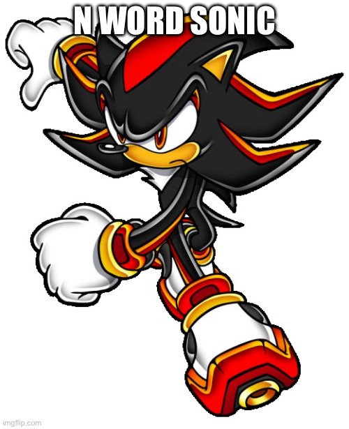 Shadow the hedgehog | N WORD SONIC | image tagged in shadow the hedgehog | made w/ Imgflip meme maker