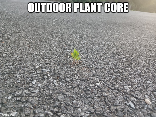 Outdoor plant core | OUTDOOR PLANT CORE | image tagged in plants | made w/ Imgflip meme maker